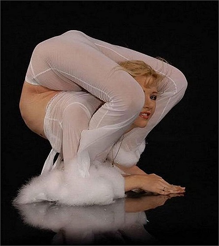 Như thiên nga trắng