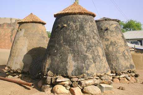 Kỳ lạ làng làm bạn cùng cá sấu khổng lồ