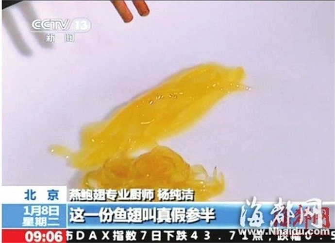 Các sợi vây cá mập đóng túi giả thậm chí ngâm vào nước không tan, kéo giãn cũng không đứt