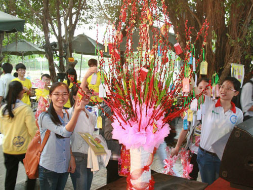 Muôn vẻ sinh viên ăn tết xa quê