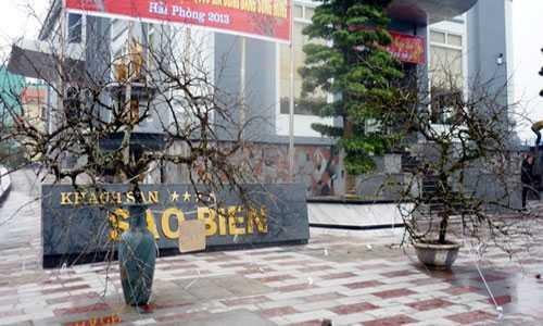 Ngắm cặp đào 'Long - Phụng sum vầy' giá trăm triệu