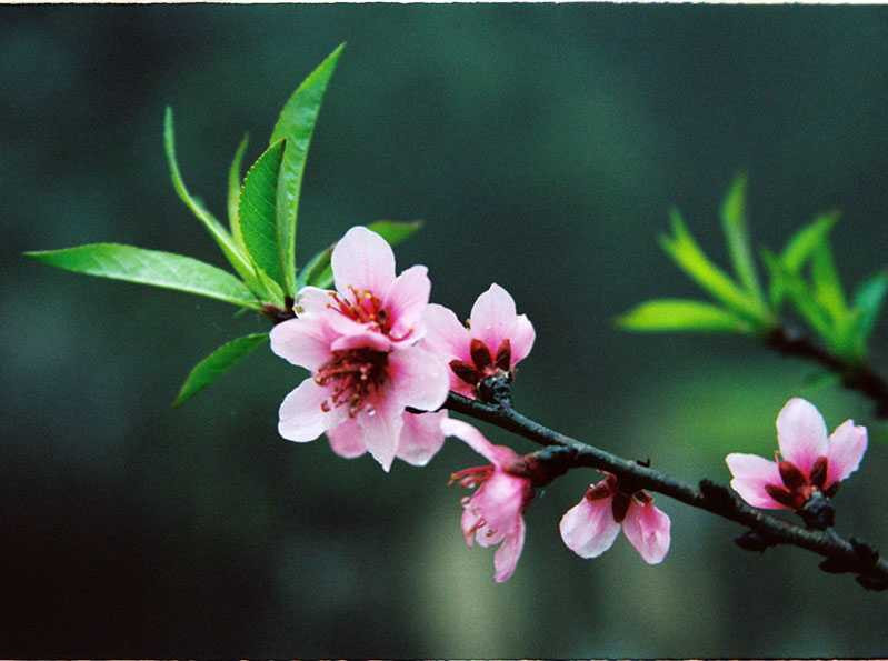 Nhà văn hóa: Giảm ăn Tết ta, tăng ăn Tết dương