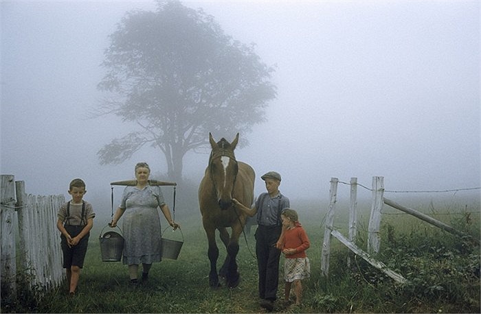 Người mẹ và 3 anh chị em trong một nông trang tại Quebec, Canada
