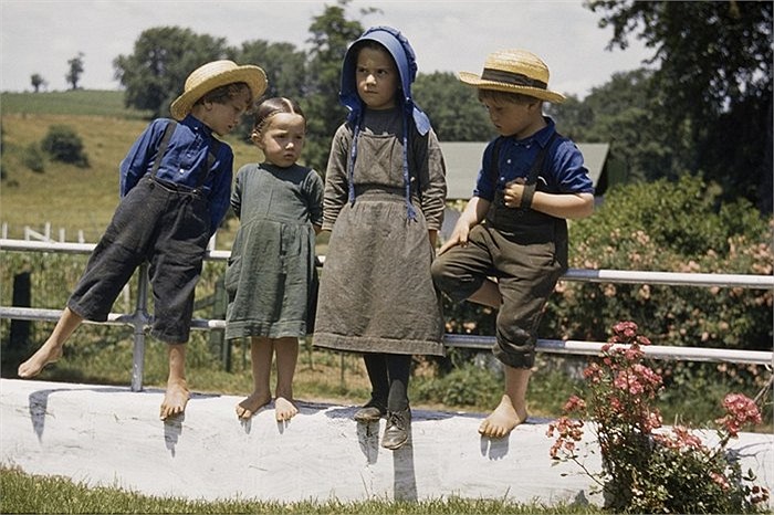 Trẻ con trên một cánh đồng vào mùa hè ở Pennsylvania, Mỹ