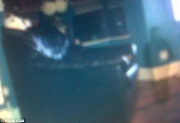 Những câu chuyện bí ẩn nhất năm 2012