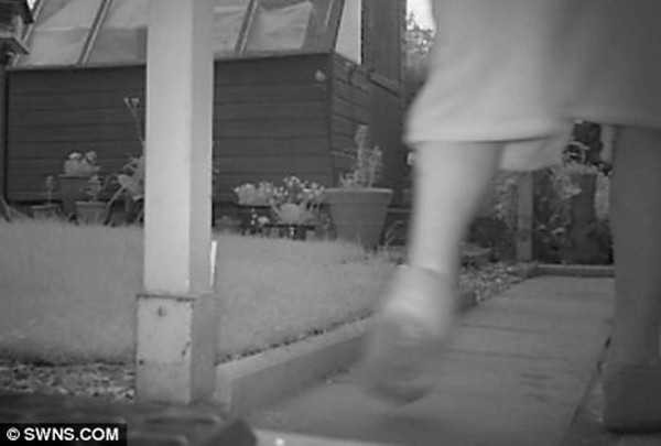 Những câu chuyện bí ẩn nhất năm 2012