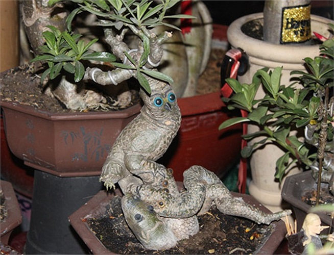 Những gốc sứ được uốn hình ngộ nghĩnh của nghệ nhân Nguyễn Huy Hoàng.