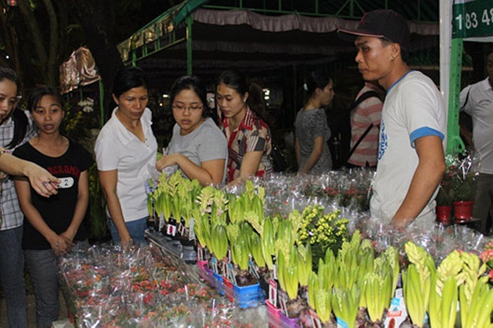 Một loại lan lạ, thu hút sự chú ý của mọi người.