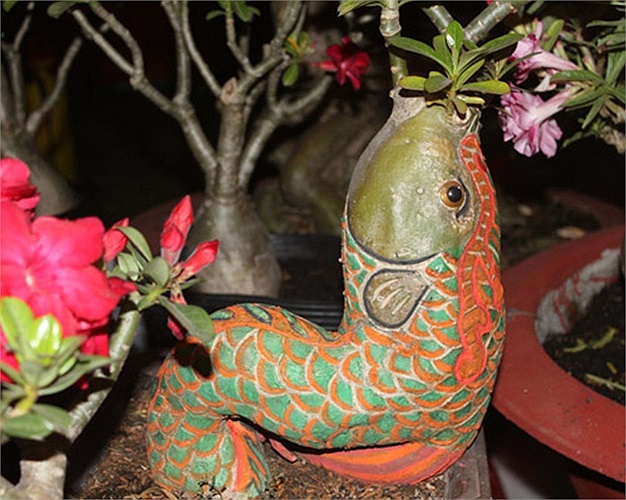 Con 'cá chép hóa rồng' này có giá 17 triệu đồng.