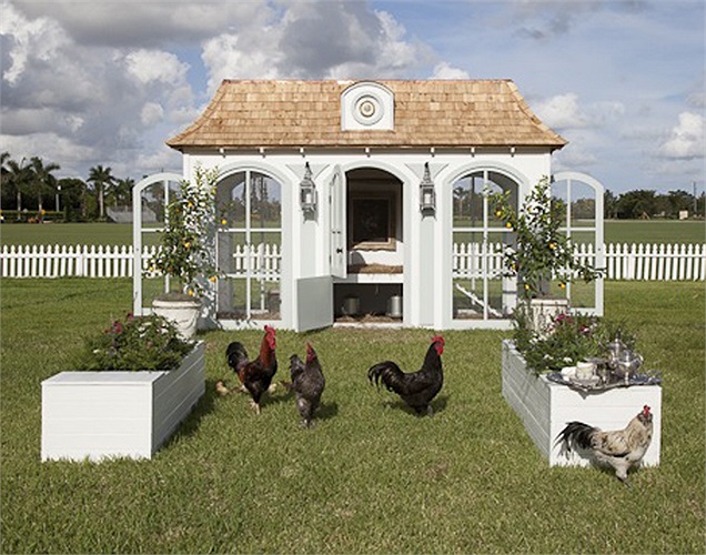 Nhà gà theo phong cách cổ điển: Không thể gọi là chuồng gà vì đây đích thị là một biệt thự sang trọng theo phong cách Versaille.