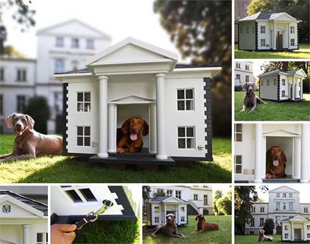 Nhà cún Alabama: Với giá 5.350 USD trở lên, ngôi nhà được làm hoàn toàn thủ công từ gỗ xịn và sơn chống thấm. Thiết kế hiện đại của ngôi nhà cún này khiến ta liên tưởng tới một biệt thự xa hoa. 