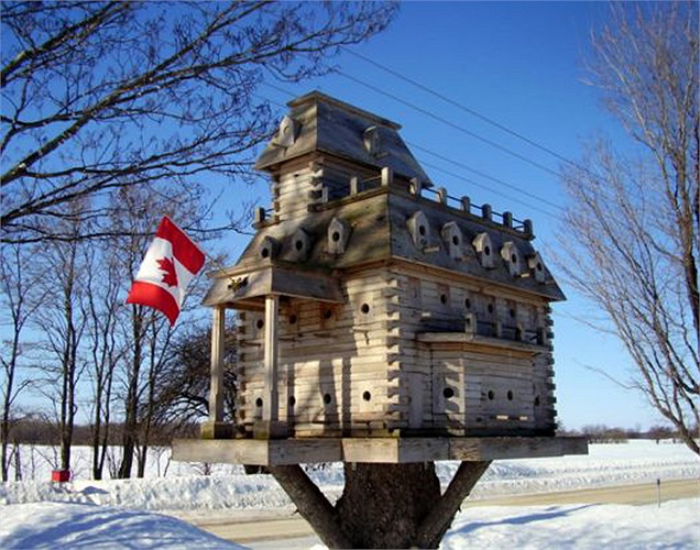 Nhà chim giá 200-2.500 USD: Nghệ nhân John Looser (Canada) đã tỉ mỉ xây dựng nên một trong những tổ chim đẹp nhất thế giới. Dĩ nhiên, cũng đắt nhất thế giới vì nó giống một ngôi nhà trên cây. 