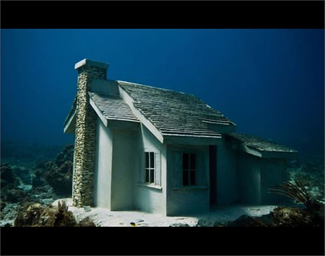 Nhà cá nhiệt đới: Người sáng lập công viên điêu khắc dưới nước đầu tiên trên thế giới, Jason Decaires Taylor, đã sáng tạo ra dãy nhà độc đáo mang tên Urban Reef. 