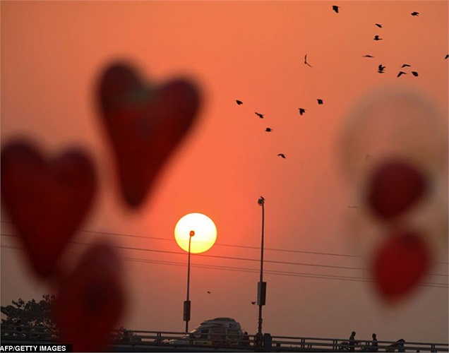 Một người bán hàng rong với những chùm bóng bay trái tim, sẵn sàng phục vụ người dân và du khách tham dự lễ hội giao thừa ở Siliguri, Ấn Độ.