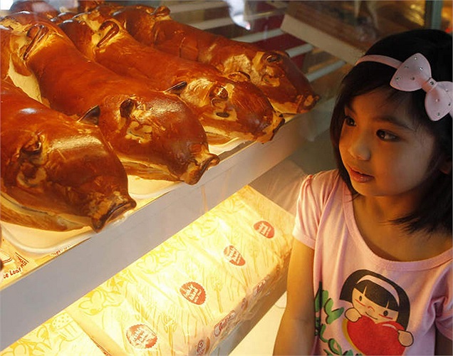 Bé gái xinh xắn đang chăm chú ngắm những chiếc bánh ngọt hình lợn nướng - món ăn truyền thống của người dân Manila - Philippines trong dịp năm mới.