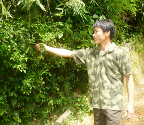 Tết của 'thần y chân đất' có biệt tài trị rắn cắn