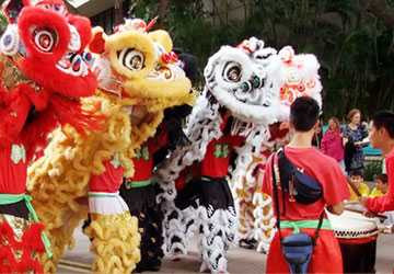 Tết ta theo dương lịch: Thanh niên Thủ đô sợ 'tủi thân'