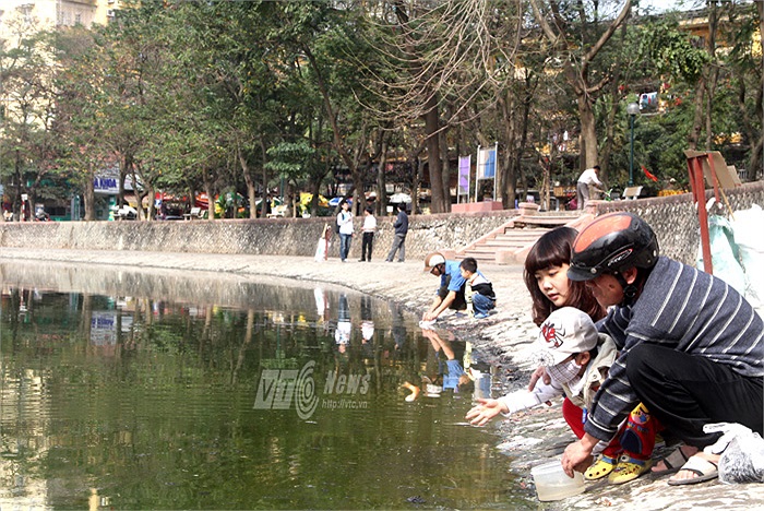 Trưa nay 3/2 (Ngày 23 tháng Chạp) tại hồ Giảng Võ – Hà Nội, sự kiện Cá Xanh 2013 đã diễn ra với hoạt động chính: đổi túi nilon lấy bao lì xì may mắn. 
