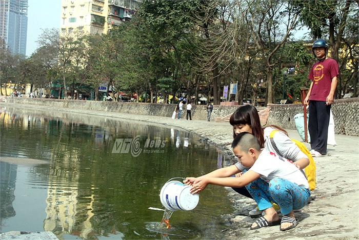 Sinh viên tình nguyện còn hướng dẫn các em nhỏ cách thả cá để bảo vệ môi trường
