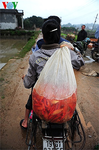 những nhà không đủ cá để giao đành lấy lại của nhà khác