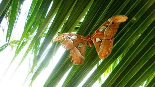 9 chuyện lạ gây xôn xao dư luận Việt 2012