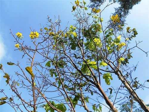 9 chuyện lạ gây xôn xao dư luận Việt 2012