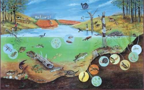 9 đại họa có thể tận diệt trái đất