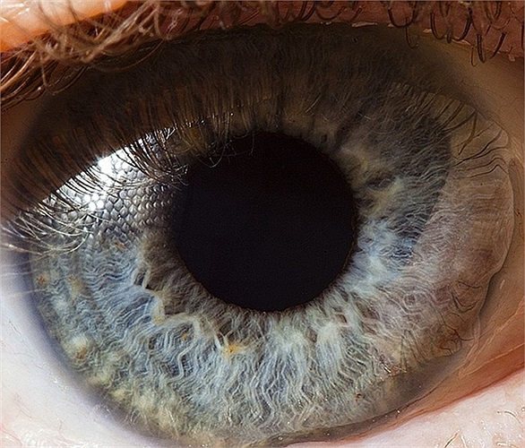 Từ 'mống mắt' trong tiếng Anh xuất phát từ tên Nữ thần cầu vồng trong Thần thoại Hy Lạp do màu sắc đa dạng của chúng