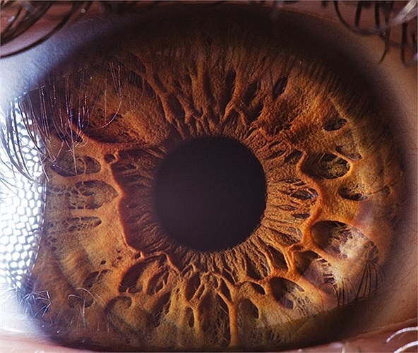 Ngoài làm giáo viên vật lí Manvelyan còn là một nhiếp ảnh gia chuyên nghiệp 