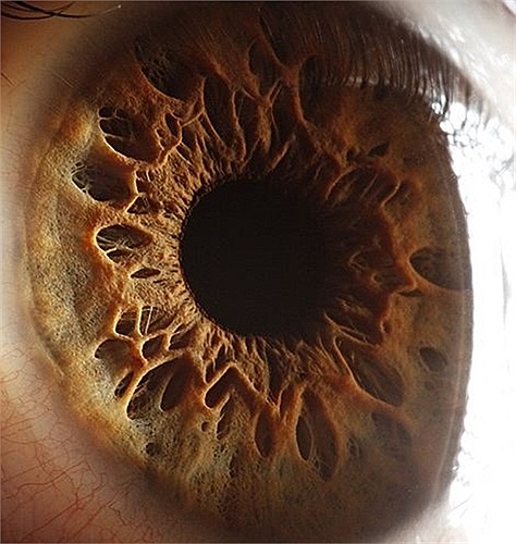 Nghiên cứu đồng tử cũng giúp các nhà khoa học phân tích tâm lí của đối tượng và đôi khi chúng ta vẫn nhìn vào mắt người khác để phát hiện liệu họ có đang nói dối hay không