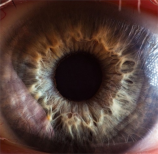 Đây là những bức ảnh được giáo viên vật lí Suren Manvelyan thực hiện