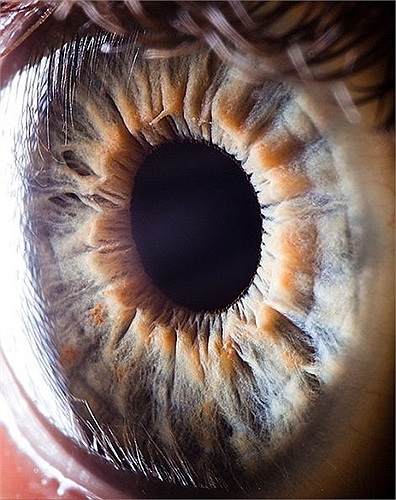 Tác giả cũng bất ngờ với những bức ảnh của mình thực hiện