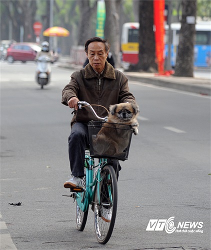 Đi đạo trên đường Hoàng Diệu