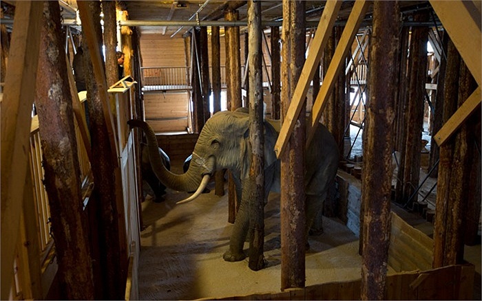 Phiên bản những loài động vật với kích cỡ thật trong thuyền Noah tại Hà Lan. Ước tính con thuyền này chứa được 50 người