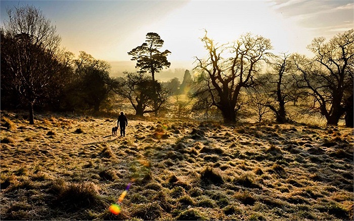 Khung cảnh thanh bình trong ánh hoàng hôn