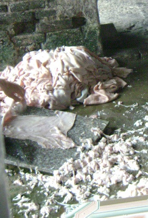 Bóng bì từ 'hang ổ' thịt thối: Dân đang bị đầu độc