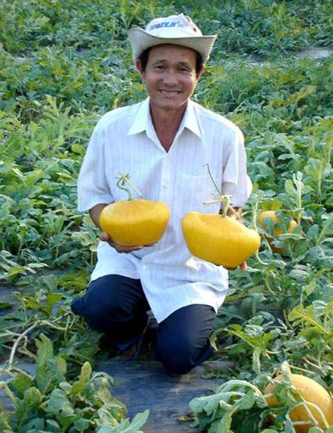 Dưa hấu thỏi vàng, Mercedes-Benz giá bạc triệu