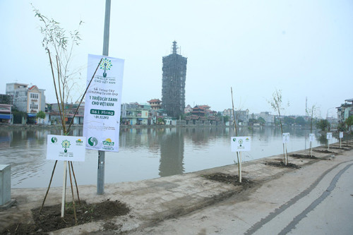 Hải Phòng: Trồng 3.500 cây xanh bảo vệ môi trường