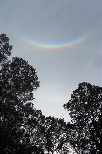 Theo lý giải của Giám đốc Cục Khí tượng Thượng Hải, do thời tiết ở Thượng Hải tương đối ấm nên khó quan sát được cầu vồng ngược - vốn là hiện tượng phổ biến hơn ở các vùng cực.