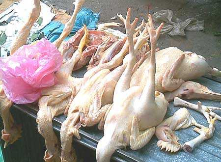 Những sự kiện y tế gây sóng gió năm 2012