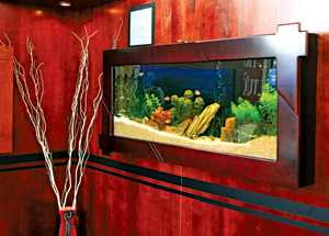 Phong thủy cho gương soi trong nhà