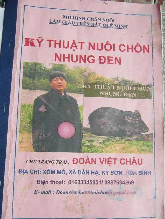 Sự thật và hiểm họa nuôi chồn nhung đen