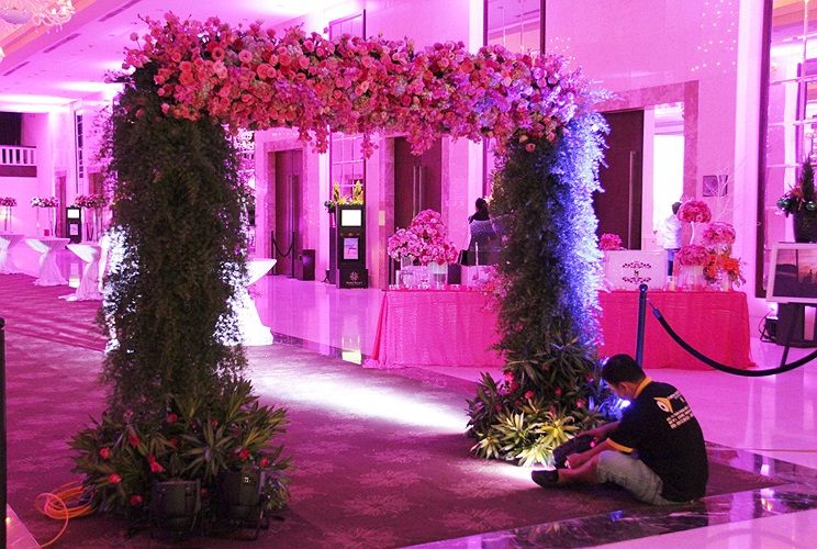 Từ cổng vào bên trong đều ngập hoa hồng