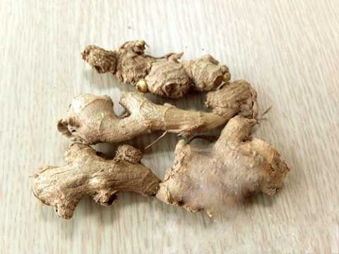 Trong củ gừng héo, đã hỏng có chứa một chất độc hại có tên là shikimol Trong củ gừng héo, đã hỏng có chứa một chất độc hại có tên là shikimol