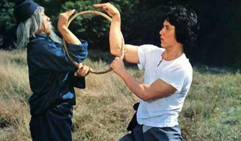 Xà hình điêu thủ,