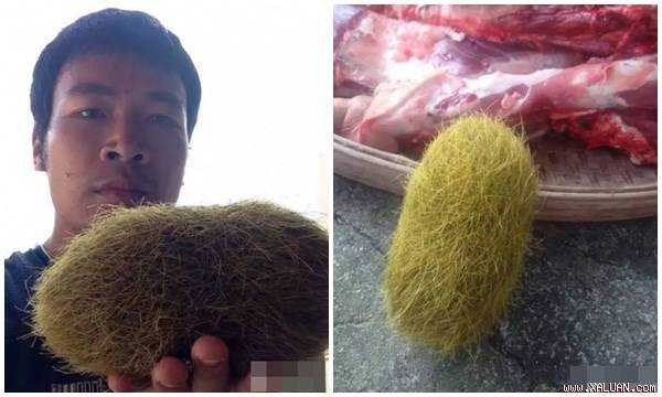 Quả trứng vàng đầu tiên được người dân phát hiện được định giá 21 tỷ đồng.