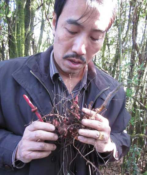 Lương y Phạm Văn Thanh Lương y Phạm Văn Thanh