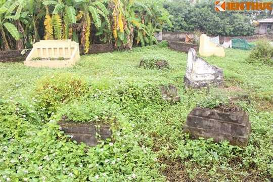 Nhiều người không khỏi rùng mình khi tận mắt nhìn thấy những khu trồng rau bẩn trong nghĩa địa, cạnh cống rãnh bốc mùi hôi thối, phun thuốc trừ sâu... Hàng ngày, những loại rau bẩn này vẫn được bán tràn lan, âm thầm đầu độc người tiêu dùng. Nhiều người lo lắng làm sao để nhận biết rau ngậm hóa chất để đảm bảo sức khỏe cho gia đình. Nhiều người không khỏi rùng mình khi tận mắt nhìn thấy những khu trồng rau bẩn trong nghĩa địa, cạnh cống rãnh bốc mùi hôi thối, phun thuốc trừ sâu... Hàng ngày, những loại rau bẩn này vẫn được bán tràn lan, âm thầm đầu độc người tiêu dùng. Nhiều người lo lắng làm sao để nhận biết rau ngậm hóa chất để đảm bảo sức khỏe cho gia đình.