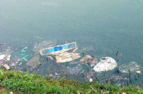 Ai có tự trọng sẽ rất xấu hổ khi xem những hình ảnh này