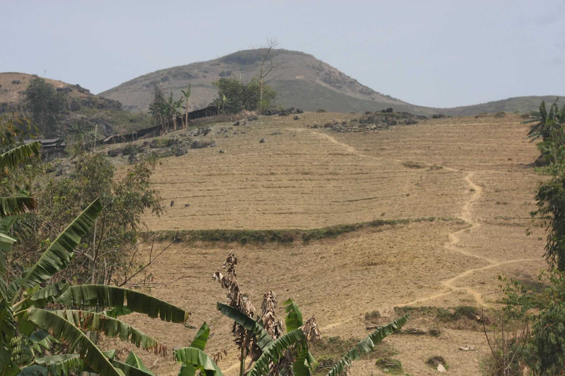 Nhà cháu nằm gần như cao nhất bản, khuất sau những quả đồi, trên những con dốc dựng đứng. 